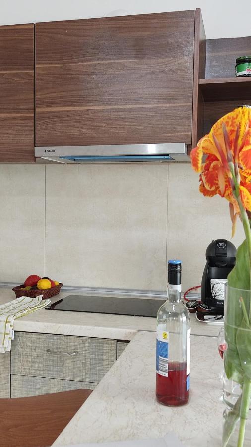 Iris Home 4 Paralia Katerinis Luaran gambar